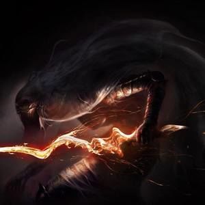 Meet your Posher, Dawson